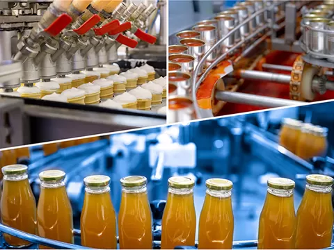 Our Capabilities For Food Industry